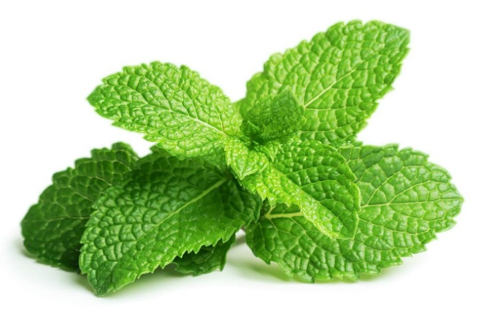 Hương bạc hà - Hóa Chất Sài Gòn Chem - Công Ty TNHH Xuất Nhập Khẩu Sài Gòn Chem