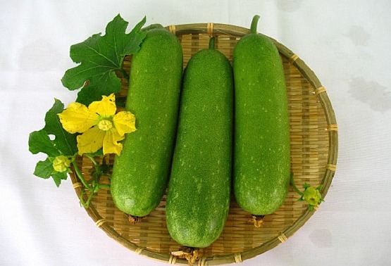 Hương bí đao - Hóa Chất Sài Gòn Chem - Công Ty TNHH Xuất Nhập Khẩu Sài Gòn Chem
