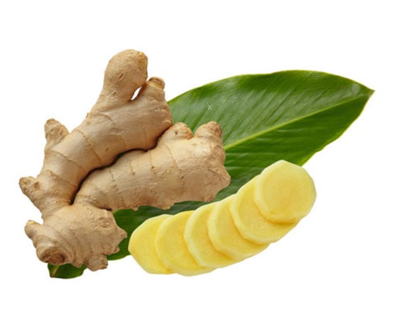 Hương gừng - Hóa Chất Sài Gòn Chem - Công Ty TNHH Xuất Nhập Khẩu Sài Gòn Chem