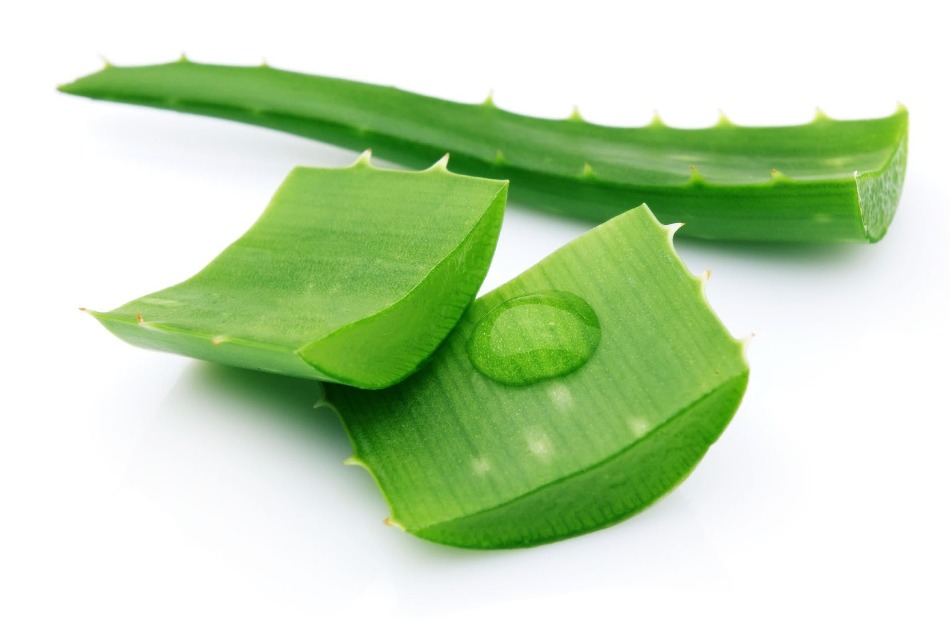 Hương nha đam - Hóa Chất Sài Gòn Chem - Công Ty TNHH Xuất Nhập Khẩu Sài Gòn Chem