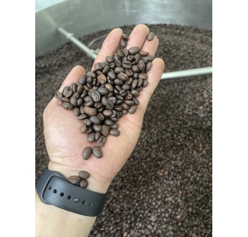 Cà phê rang mộc hạt Robusta Nature - Cà Phê 287 - Công Ty Trách Nhiệm Hữu Hạn Cà Phê 287