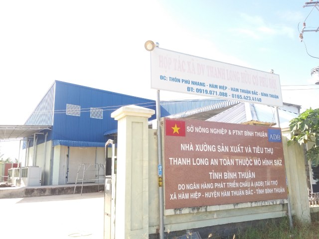 Hình ảnh công ty - HTX DV Thanh Long Hữu Cơ Phú Hội