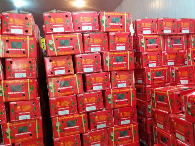 Hình ảnh công ty - HTX DV Thanh Long Hữu Cơ Phú Hội