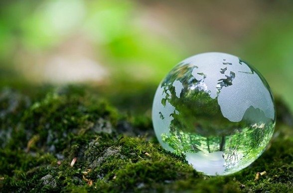 Báo cáo đánh giá tác động môi trường (ĐTM)