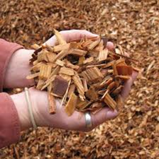 Nhiên Liệu Đốt BIOMASS – Công Ty TNHH Lương Sơn BIOMASS