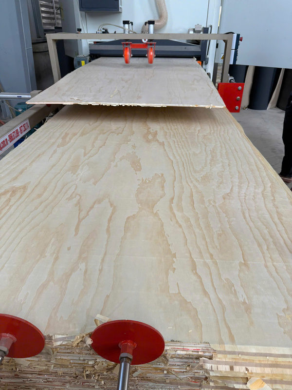 Hình ảnh nhà máy sản xuất ván ép nội thất Sơn Hùng