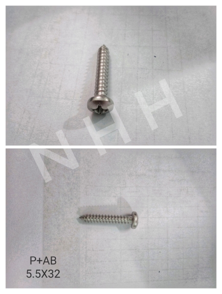 Ốc vít P+AB 5.5x32