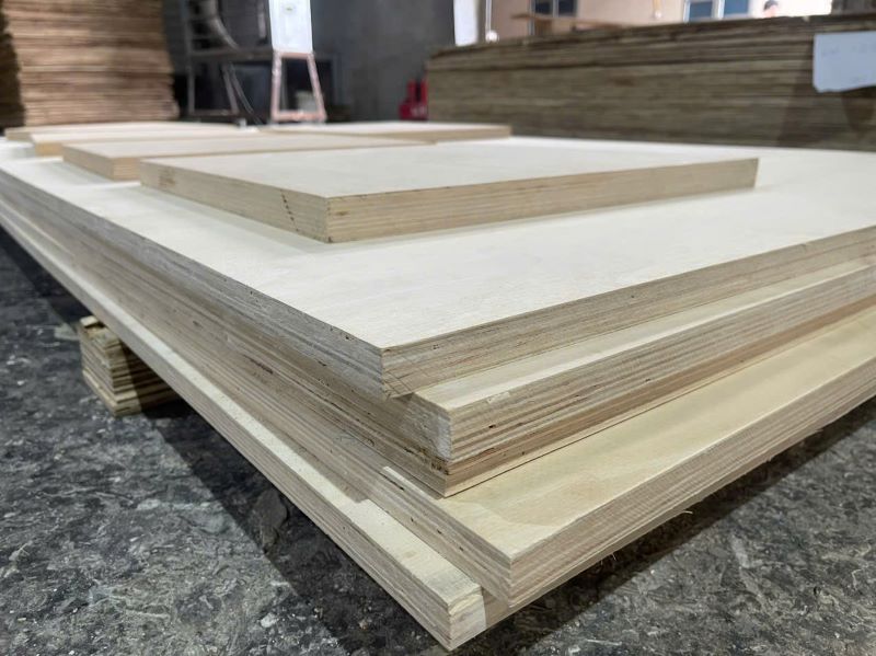  - Công Ty Cổ Phần Kinh Doanh Thương Mại Và Xuất Nhập Khẩu Trường Thịnh