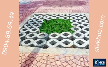 Gạch trồng cỏ gốc cây