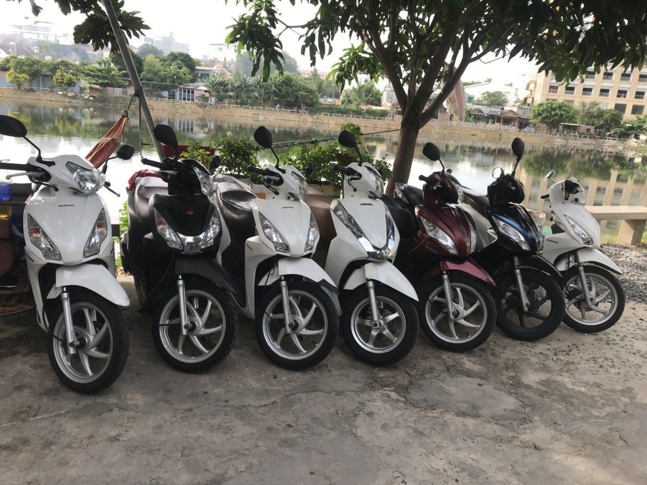 Dịch vụ cho thuê xe máy - Thuê Xe Máy Vũng Tàu - Thanh Hải