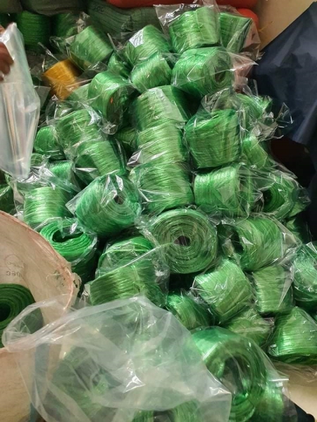 Dây nilon nem