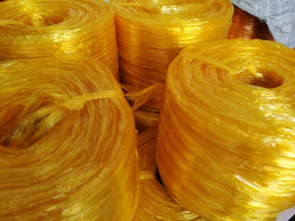 Dây nilon nem