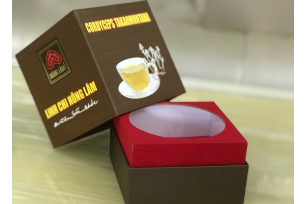 In hộp cứng - In Nhanh Thanh Sơn - Công Ty TNHH In Nhanh Rẻ Thanh Sơn