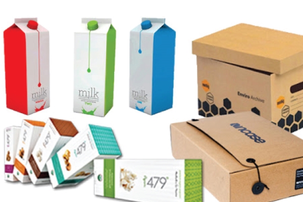 In hộp giấy - In Nhanh Thanh Sơn - Công Ty TNHH In Nhanh Rẻ Thanh Sơn