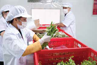 Hình ảnh công ty Hải Tiến