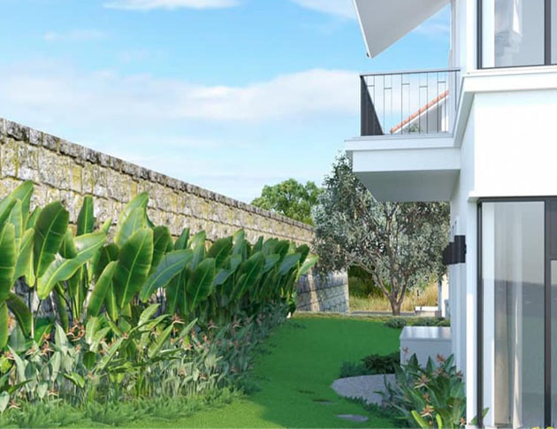 Công Ty TNHH Sản Xuất Và Kinh Doanh Cây Xanh Thủ Đô