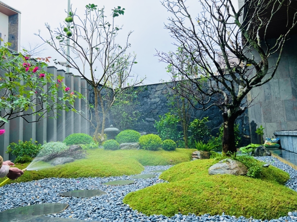 Cảnh quan khuôn viên