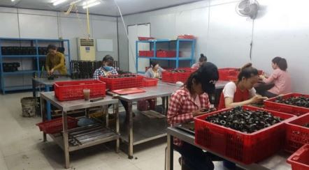 Hình ảnh nhà xưởng Yamasan Tech Việt Nam