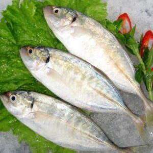 Cá bạc má - Suất Ăn Công Nghiệp Ecofood Việt Nam - Công Ty TNHH Thực Phẩm Ecofood Việt Nam