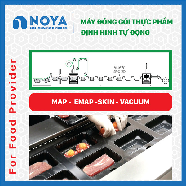 Noya Pack - máy đóng gói Khay