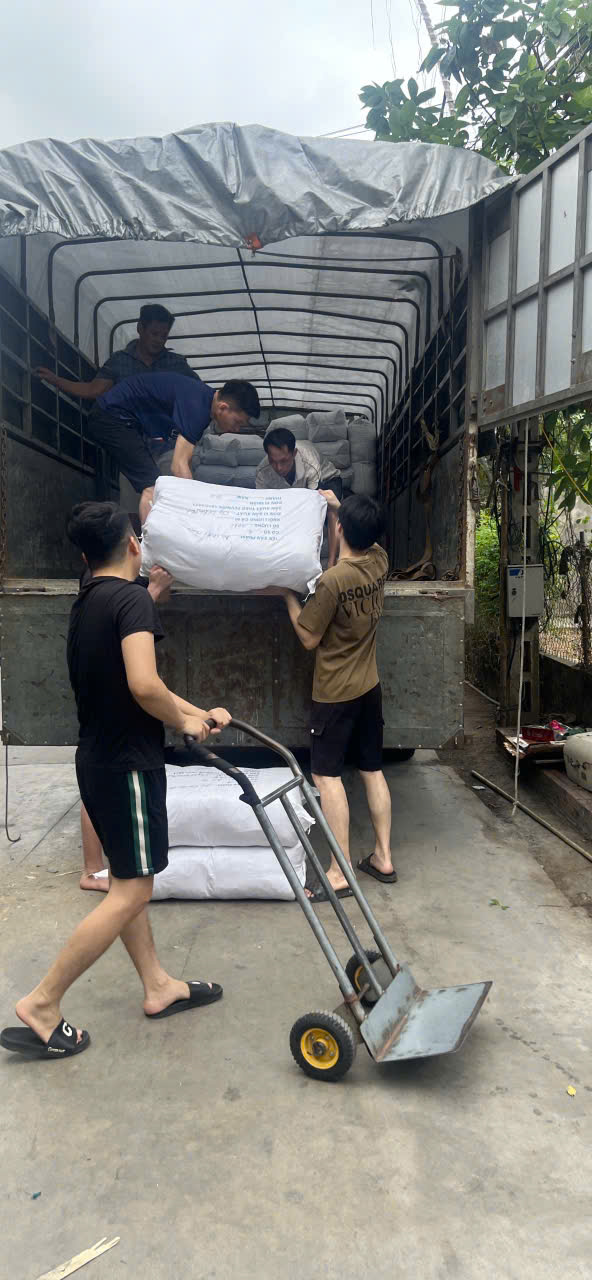 Hình ảnh thực tế