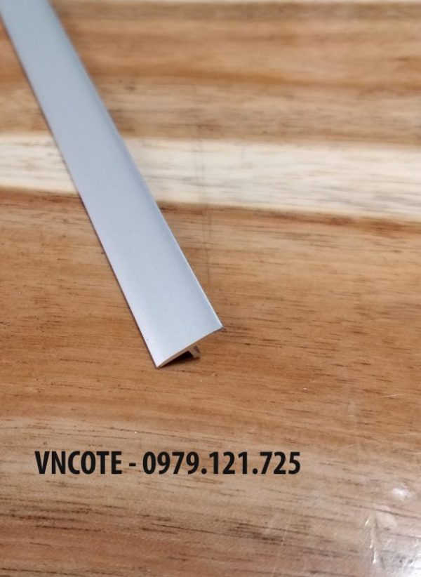 Nẹp inox T20