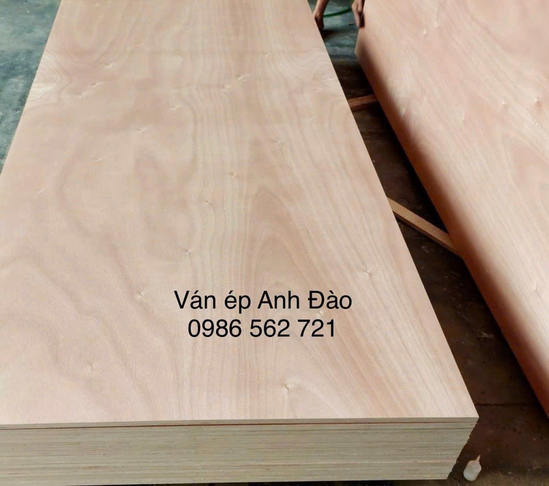 Ván ép mặt Okume