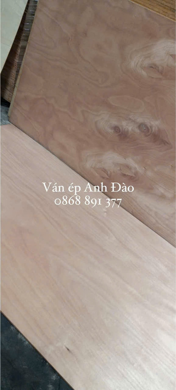 Ván ép mặt Okume