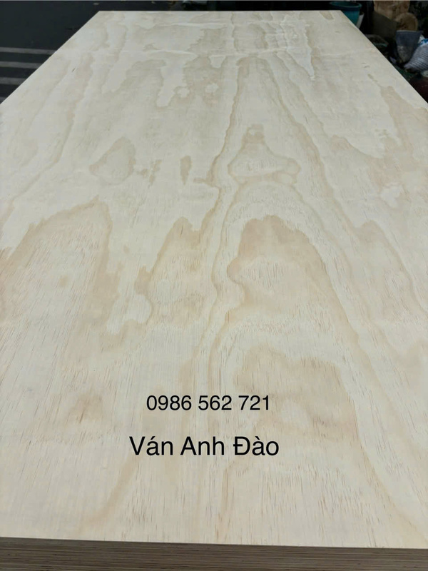 Ván ép mặt thông