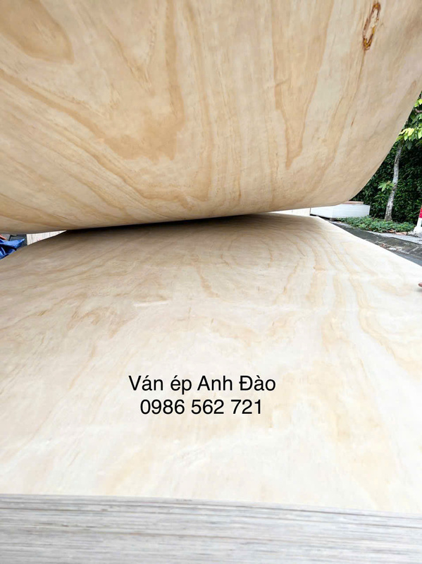 Ván ép mặt thông