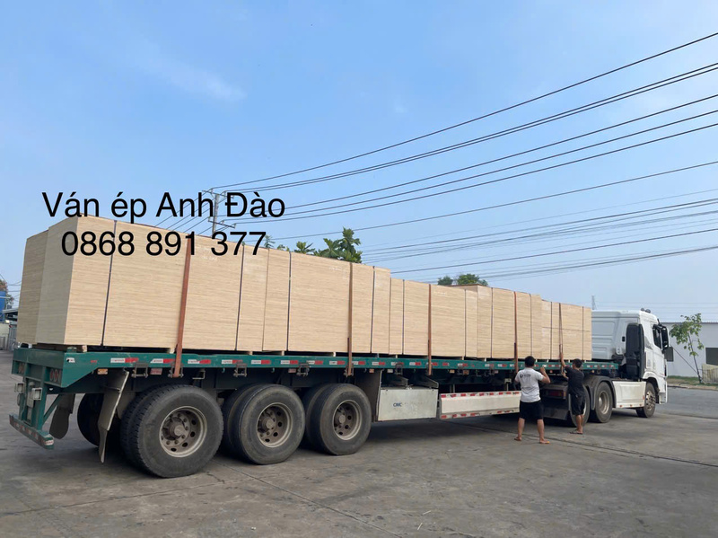 Ván ép Anh Đào
