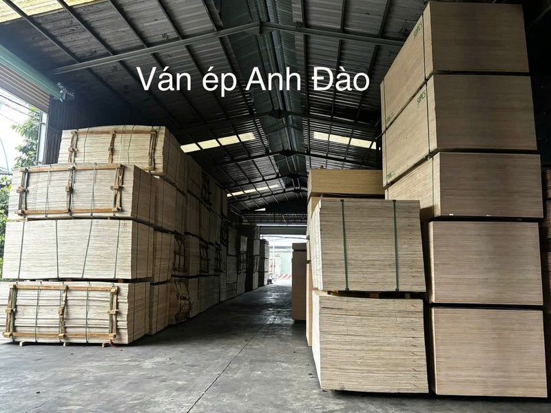 Ván ép Anh Đào
