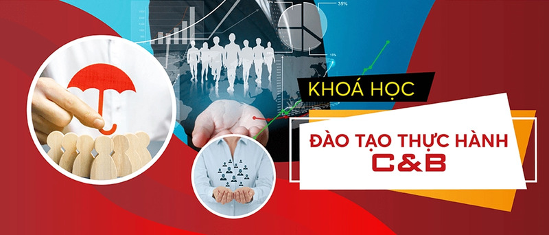 Khóa học đào tạo thực hành C&B - Khóa Học Online Lê ánh - Công Ty TNHH Đào Tạo Và Cung ứng Nhân Lực Lê ánh