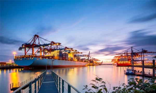 Logistics P.Y.Z – Công Ty TNHH Thương Mại & Dịch Vụ Giao Nhận Vận Chuyển P.Y.Z