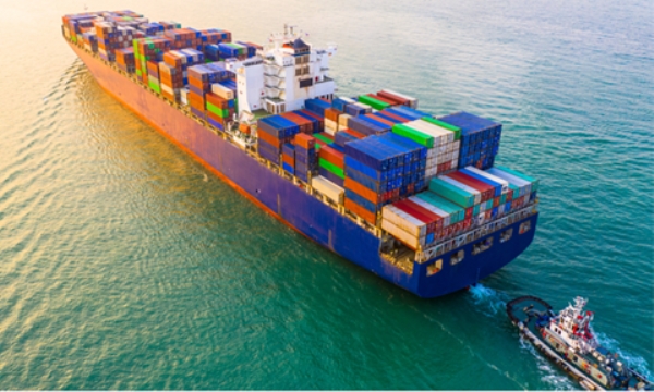 Logistics P.Y.Z – Công Ty TNHH Thương Mại & Dịch Vụ Giao Nhận Vận Chuyển P.Y.Z