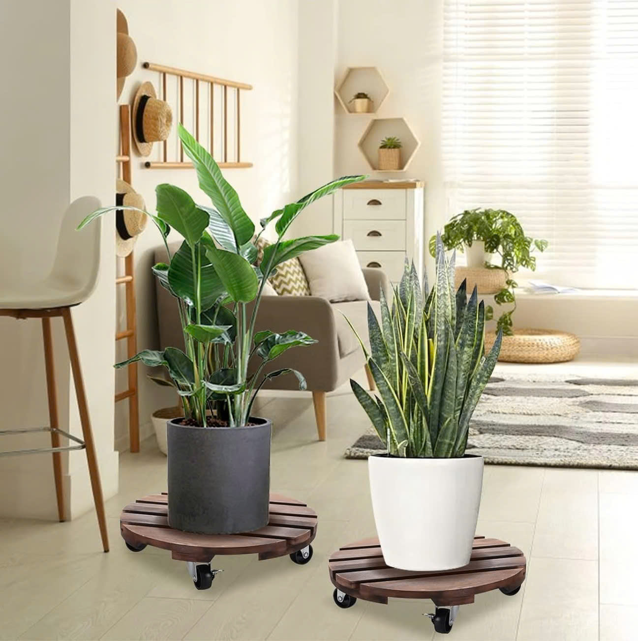 Đế chậu cây - Planter Caddy - Công Ty TNHH Lý Hoàng Phúc