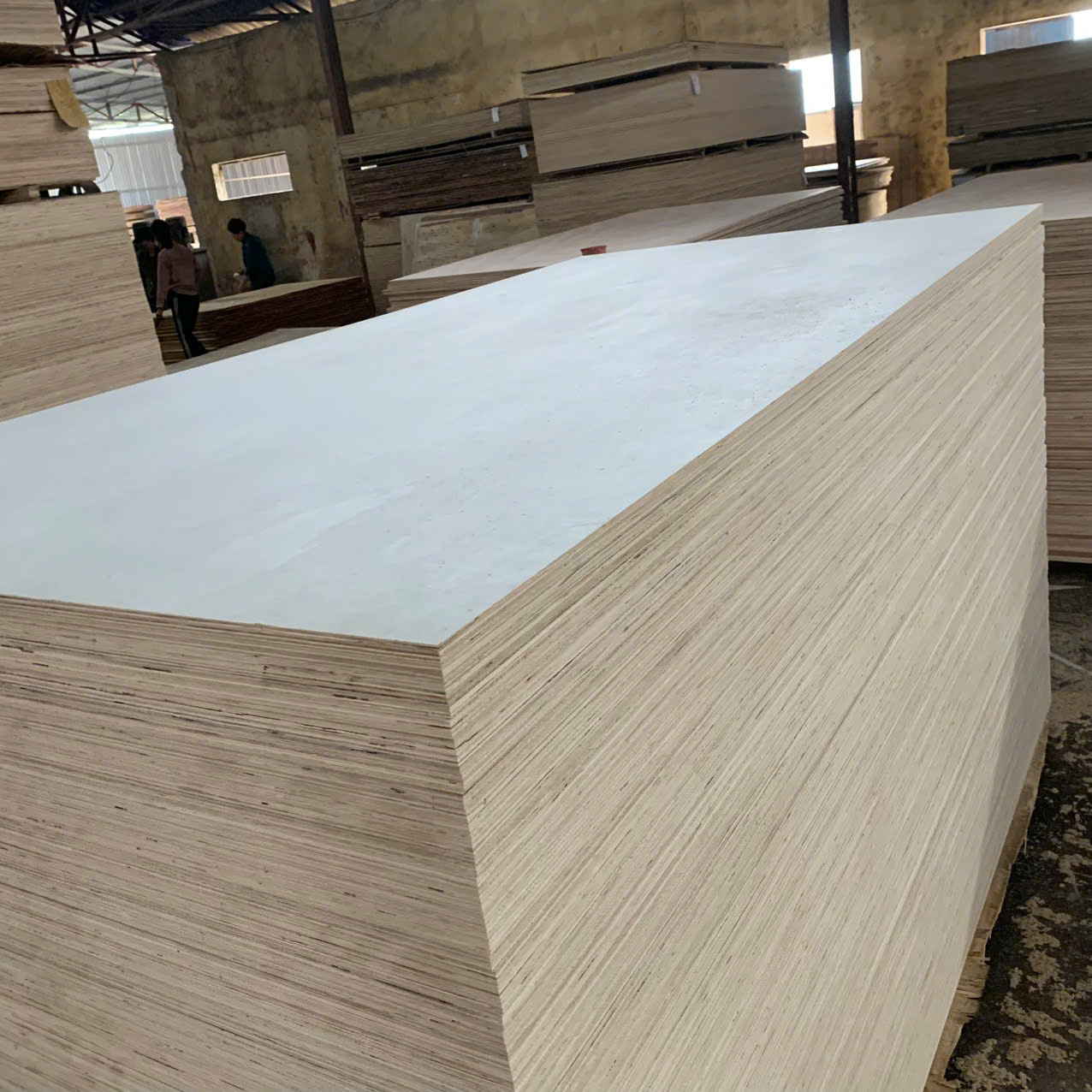Plywood mặt Poplar