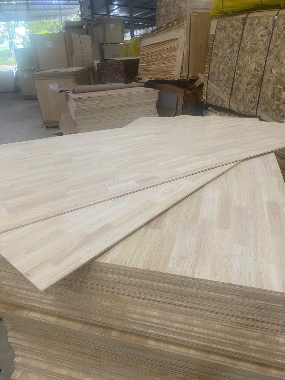 Plywood mặt cao su