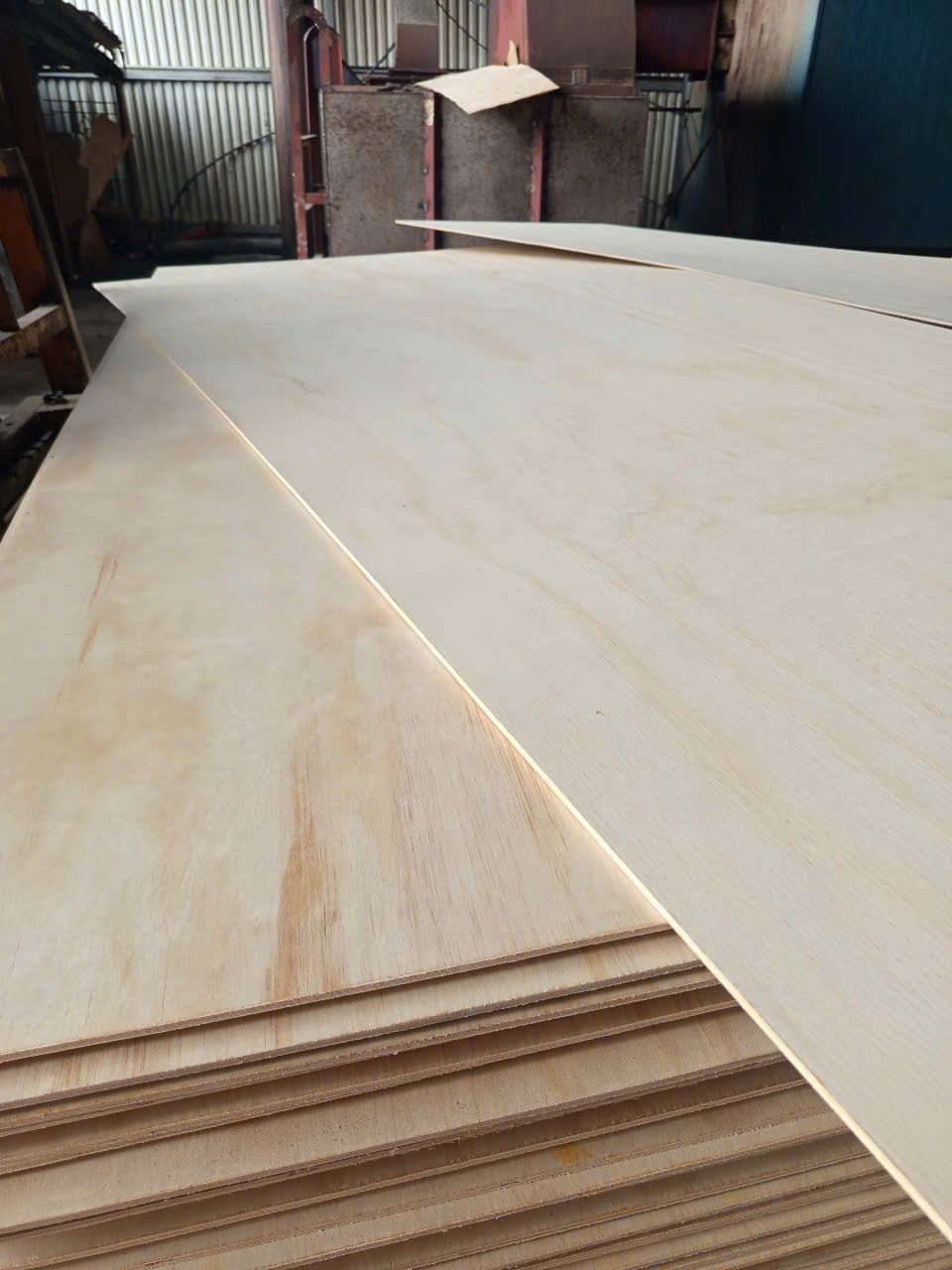 Plywood mặt thông