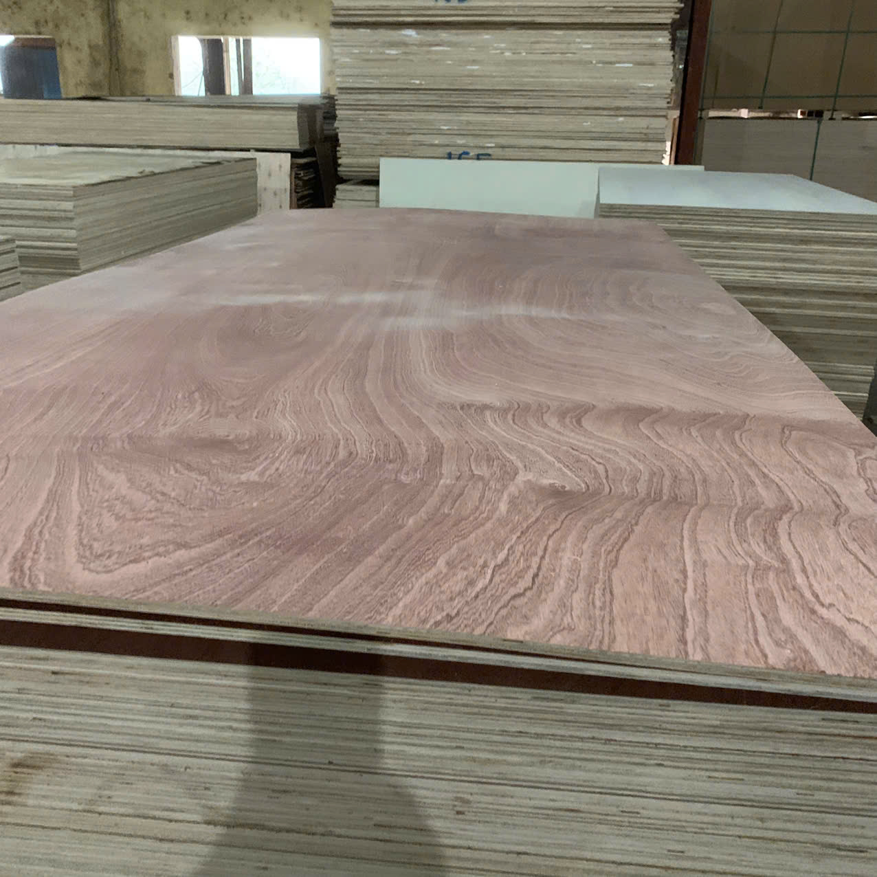 Plywood mặt xoan đào