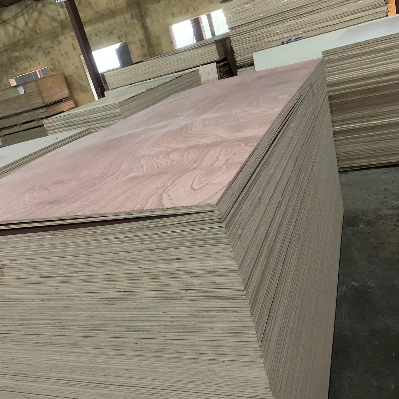 Plywood mặt xoan đào