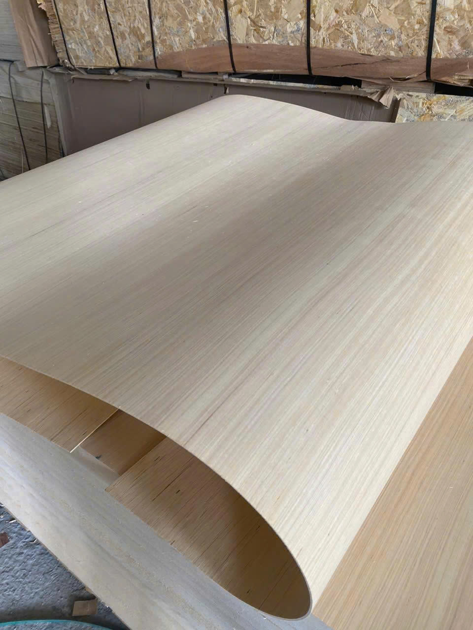 Ván ép uốn cong EV