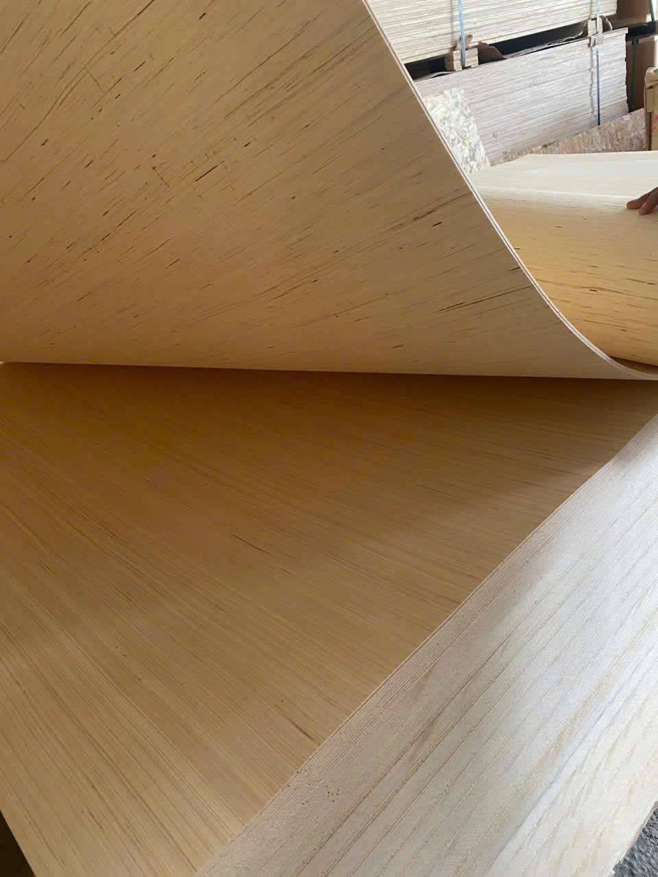 Ván ép uốn cong EV