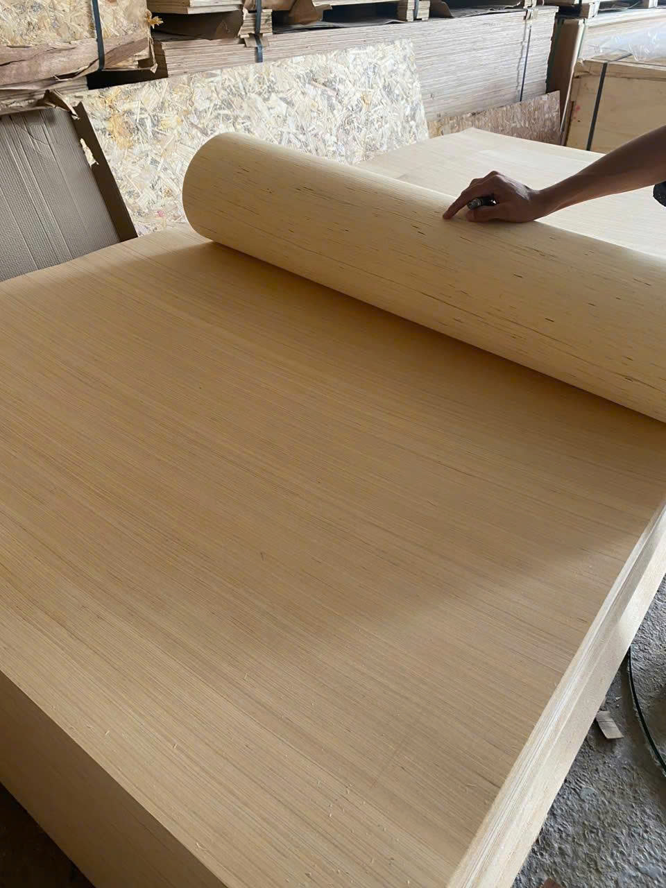 Ván ép uốn cong EV