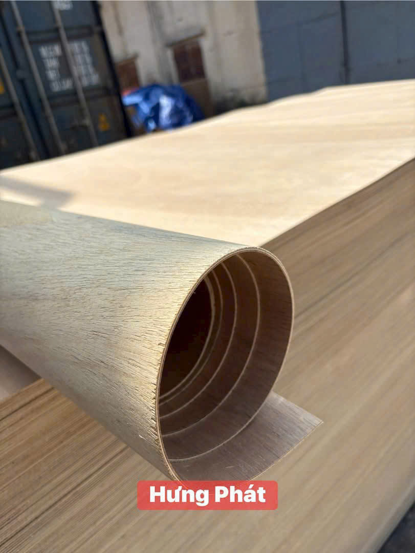 Ván ép uốn cong ngô đồng