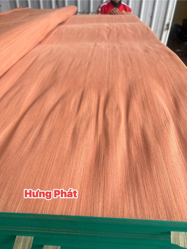 Venner kĩ thuật EV đỏ