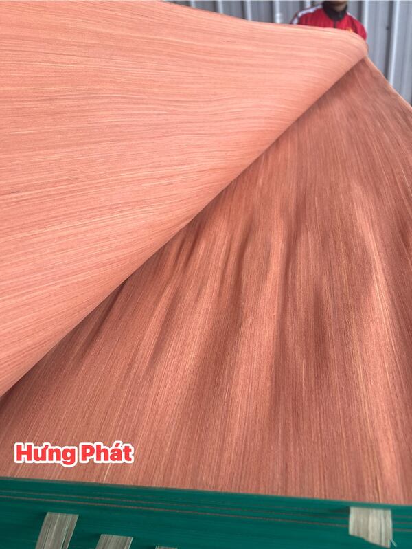 Venner kĩ thuật EV đỏ