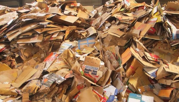 Thu mua phế liệu giấy