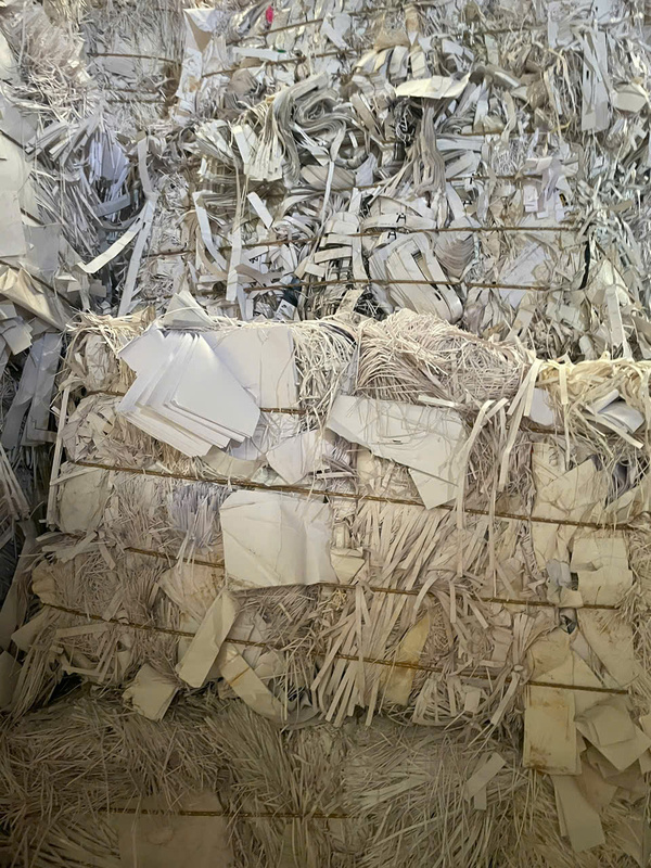 Thu mua phế liệu giấy