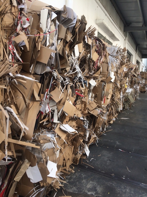 Thu mua phế liệu giấy